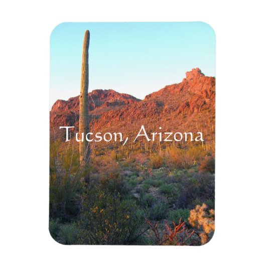 Nationaal park Saguaro, Tucson Arizona Magneet (Verticaal)