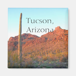 Nationaal Park Saguaro Tucson, Arizona Magneet