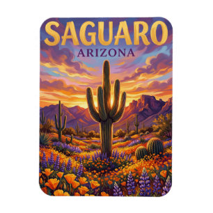 Nationaal park Saguaro VS Magneet