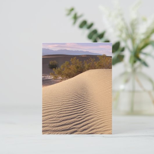 Nationaal Park Sand Dunes Death Valley Briefkaart (Staand voorkant)