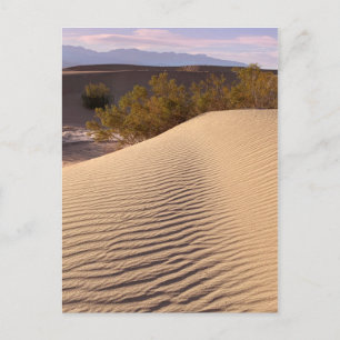 Nationaal Park Sand Dunes Death Valley Briefkaart