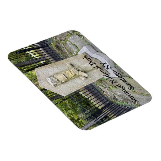 Nationaal park Saratoga Magneet (Rechterzijde)