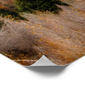 Nationaal park Schwabacher Landing Grand Teton Poster (Hoek)