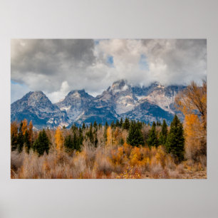 Nationaal park Schwabacher Landing Grand Teton Poster