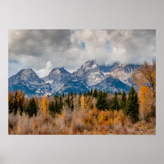 Nationaal park Schwabacher Landing Grand Teton Poster (Voorkant)