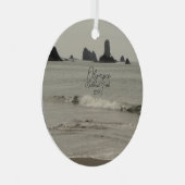 Nationaal Park Seascape Foto Metalen Ornament (Voorkant Rechts)