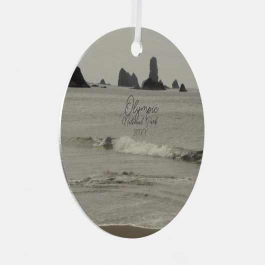 Nationaal Park Seascape Foto Metalen Ornament (Voorkant Rechts)