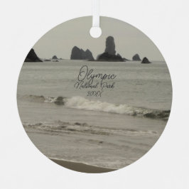 Nationaal Park Seascape Foto Metalen Ornament