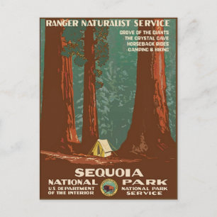 Nationaal park Sequoia Briefkaart