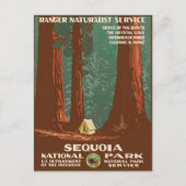 Nationaal park Sequoia Briefkaart (Voorkant)