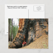 Nationaal park Sequoia Briefkaart (Voorkant / Achterkant)