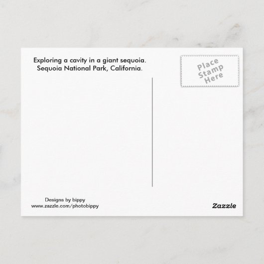 Nationaal park Sequoia Briefkaart (Achterkant)