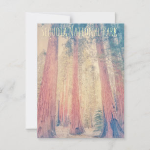 Nationaal park Sequoia Briefkaart