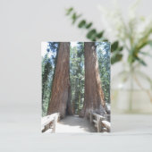 Nationaal park Sequoia Briefkaart (Staand voorkant)