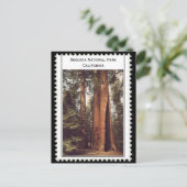 Nationaal Park Sequoia Briefkaart (Staand voorkant)