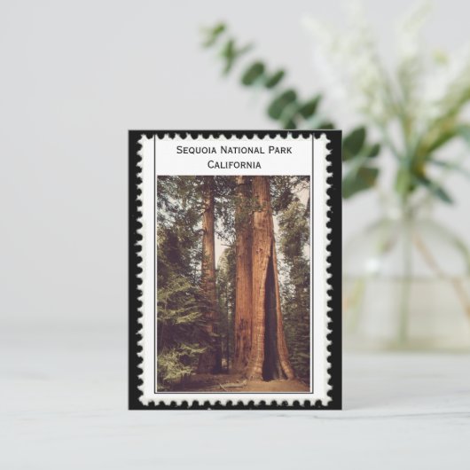Nationaal Park Sequoia Briefkaart (Staand voorkant)