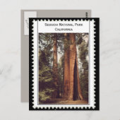 Nationaal Park Sequoia Briefkaart (Voorkant / Achterkant)