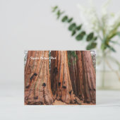 Nationaal park Sequoia Briefkaart (Staand voorkant)