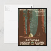 Nationaal park Sequoia Briefkaart (Voorkant / Achterkant)