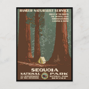 Nationaal park Sequoia Briefkaart