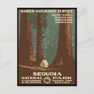Nationaal park Sequoia Briefkaart