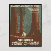 Nationaal park Sequoia Briefkaart (Voorkant)