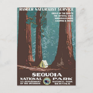 Nationaal park Sequoia Briefkaart