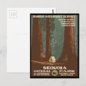 Nationaal park Sequoia Briefkaart (Voorkant / Achterkant)