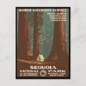 Nationaal park Sequoia Briefkaart (Voorkant)