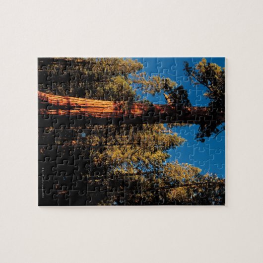 Nationaal Park Sequoia, Californië 2 Legpuzzel (Horizontaal)