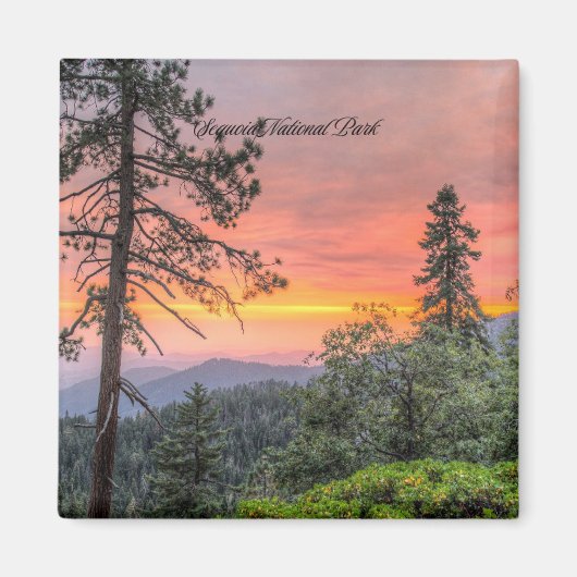 Nationaal Park Sequoia, Californië Magneet (Voorkant)