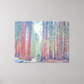 Nationaal park Sequoia Canvas Afdruk (Voorkant)