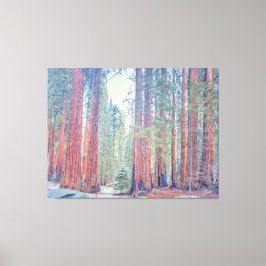 Nationaal park Sequoia Canvas Afdruk