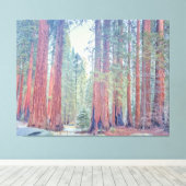 Nationaal park Sequoia Canvas Afdruk (Insitu (Houten vloer))