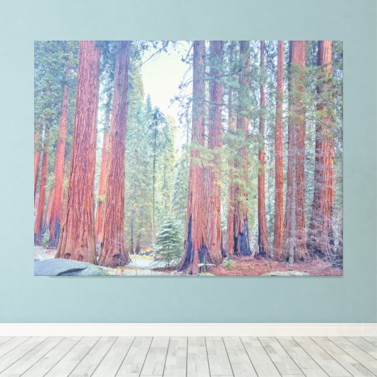 Nationaal park Sequoia Canvas Afdruk (Insitu (Houten vloer))