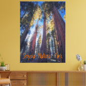 Nationaal Park Sequoia Canvas Afdruk (Insitu (Woonkamer))