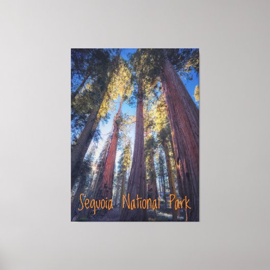 Nationaal Park Sequoia Canvas Afdruk (Voorkant)