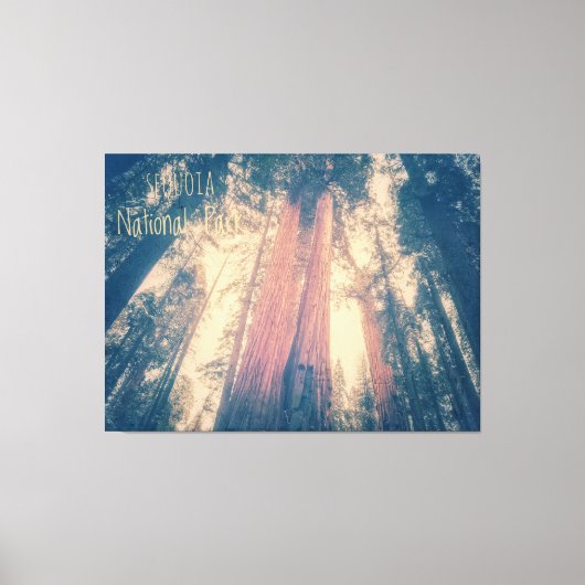 Nationaal park Sequoia Canvas Afdruk (Voorkant)