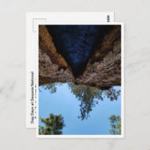 Nationaal park Sequoia: Dog Days Briefkaart (Voorkant / Achterkant)