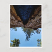 Nationaal park Sequoia: Dog Days Briefkaart (Voorkant)