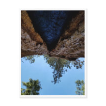 Nationaal park Sequoia: Dog Days