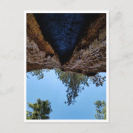 Nationaal park Sequoia: Dog Days Briefkaart