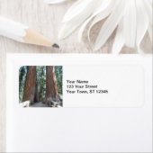 Nationaal park Sequoia Etiket (Insitu)