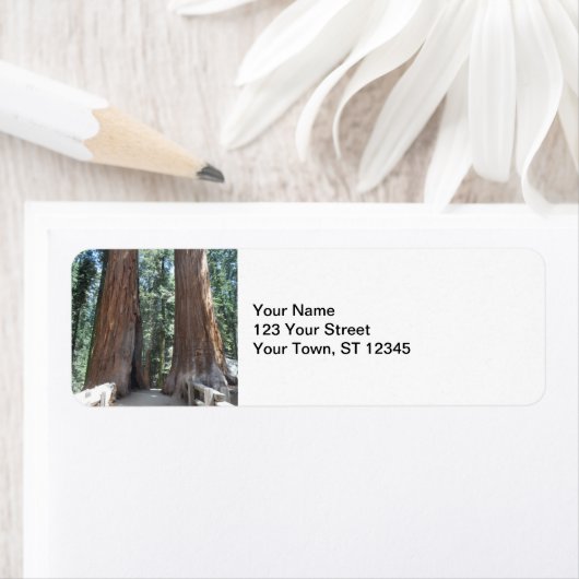 Nationaal park Sequoia Etiket (Insitu)