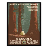 Nationaal park Sequoia Foto Afdruk (Voorkant)
