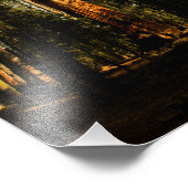 Nationaal park Sequoia Foto Afdruk (Hoek)