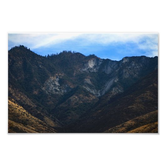 Nationaal park Sequoia Foto Afdruk (Voorkant)