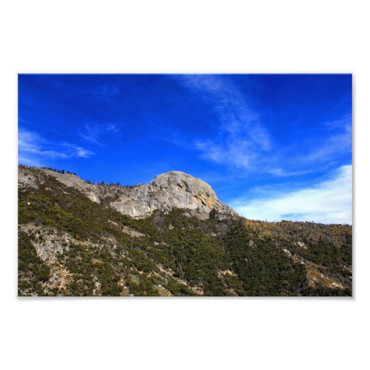 Nationaal park Sequoia Foto Afdruk (Voorkant)