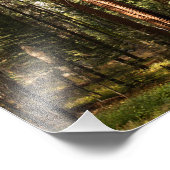 Nationaal park Sequoia Foto Afdruk (Hoek)