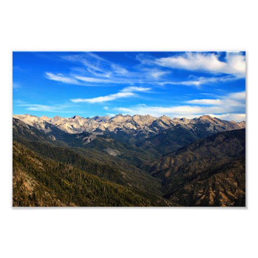 Nationaal park Sequoia Foto Afdruk (Voorkant)